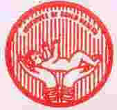 Indira Gandhi Institute of Child Health Logo